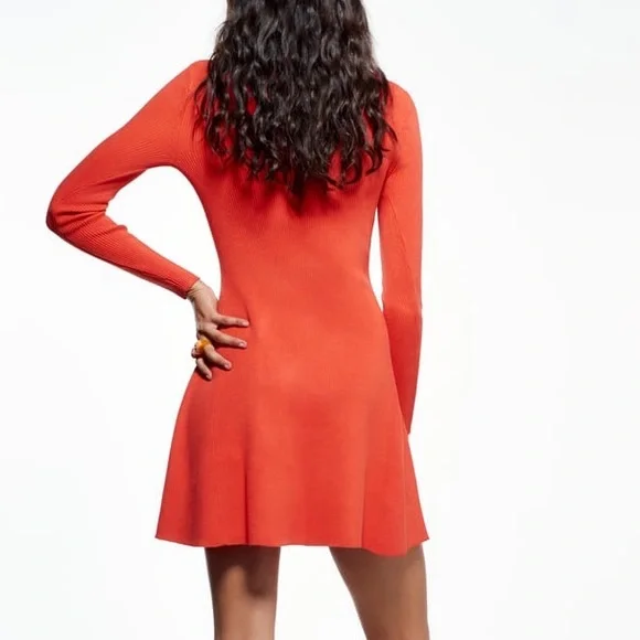 Zara Skater Knit Dress - Picture 11 of 14